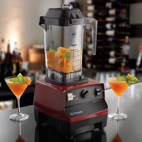 דגמי VITAMIX