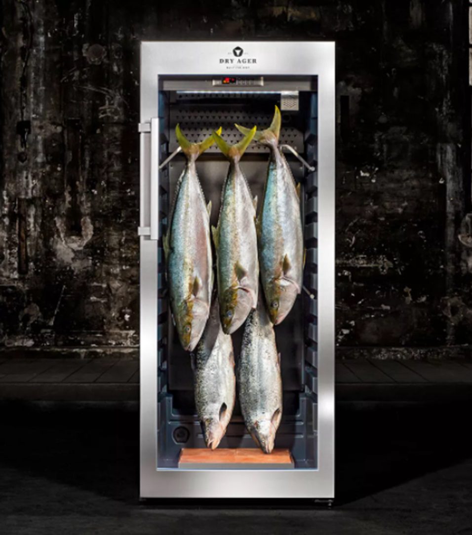 מקרר יישון יבש DRY AGER DX 1000 Premium S – תמונה 4